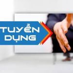 Tuyển dụng Tháng 11 - 2022